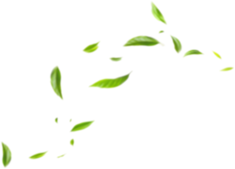 Sustainability Overview