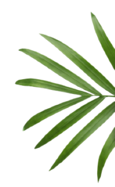 Sustainability Overview